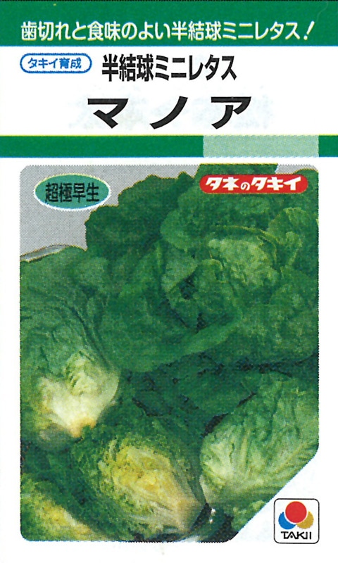結球レタスの苗　400苗　品種「逸香」 逸香｜結球レタス｜レタス｜商品情報 - 野菜 | 横浜植木