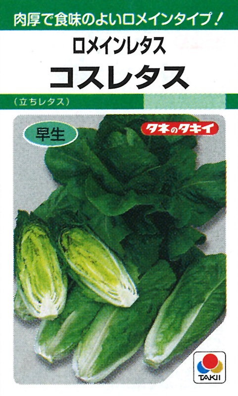 タキイ種苗 レタス種子 コスレタス ロメインレタス（立ちレタス