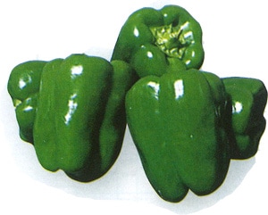 ピーマン 減農薬ピーマン1kgセット（2～3人前） | 植田ファーム