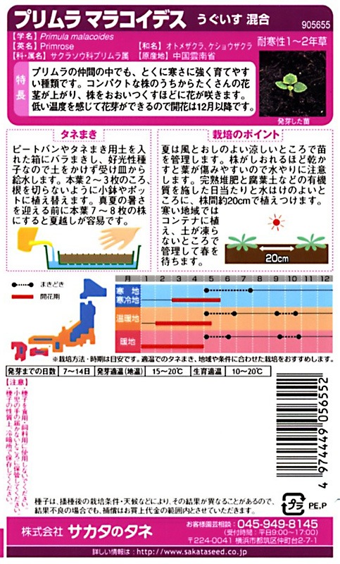 サカタのタネ 実咲350 プリムラ マラコイデス うぐいす 混合 小袋