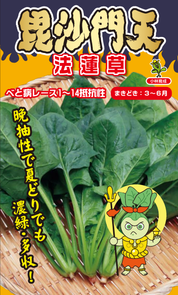 小林種苗 ホウレンソウ種子 毘沙門天＊種子有効期限2026年10月末