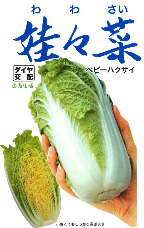 トキタ種苗 ミニハクサイ種子 娃々菜【取り寄せ注文】＊種子有効期限