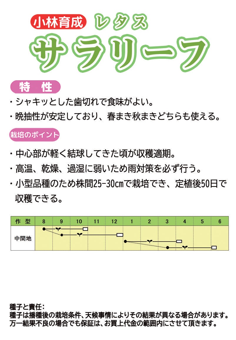 小林種苗 レタス種子 サラリーフ ＊種子有効期限2026年10月末 | 小林