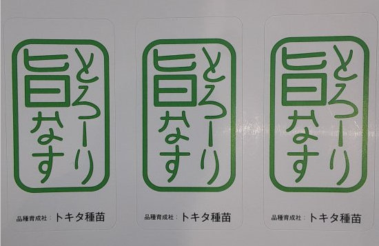 トキタ種苗 ナス種子 とろーり旨なす【取り寄せ注文】＊種子有効期限