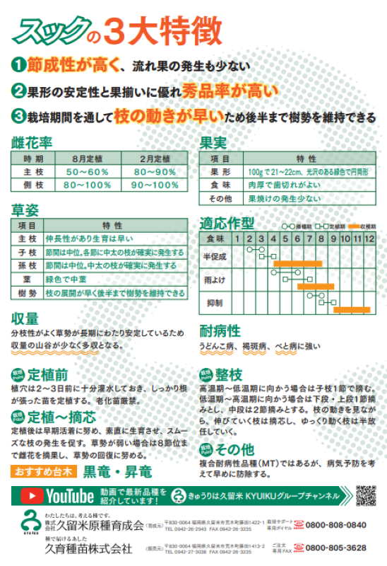 久留米原種育成会 キュウリ種子 スック【取り寄せ注文】 | すべての