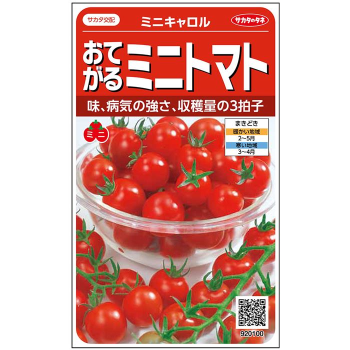 サカタのタネ ミニトマト種子 ミニキャロル[920100］【取り寄せ注文