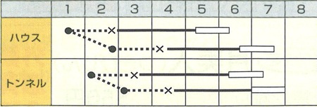 丸種 メロン種子 月しずく【取り寄せ注文】【2026年春種予約商品