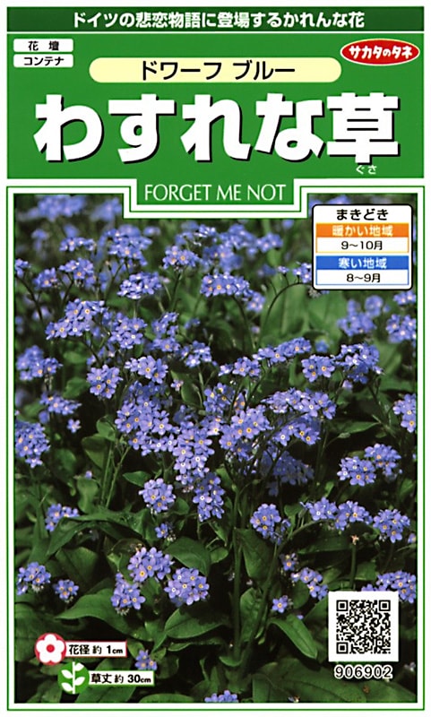 サカタのタネ 実咲250 わすれな草 ドワーフ ブルー 小袋[906902