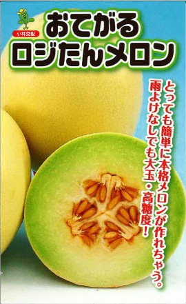 ‼️メロン‼️ 分けてお支払い 1️⃣ 小林種苗 メロン種子 おてがるメロン2種セット＊種子有効期限