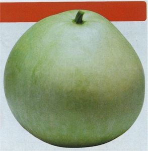 タキイ種苗 カンピョウ種子(ユウガオ) 10貫目大丸[AKN102]【取り寄せ