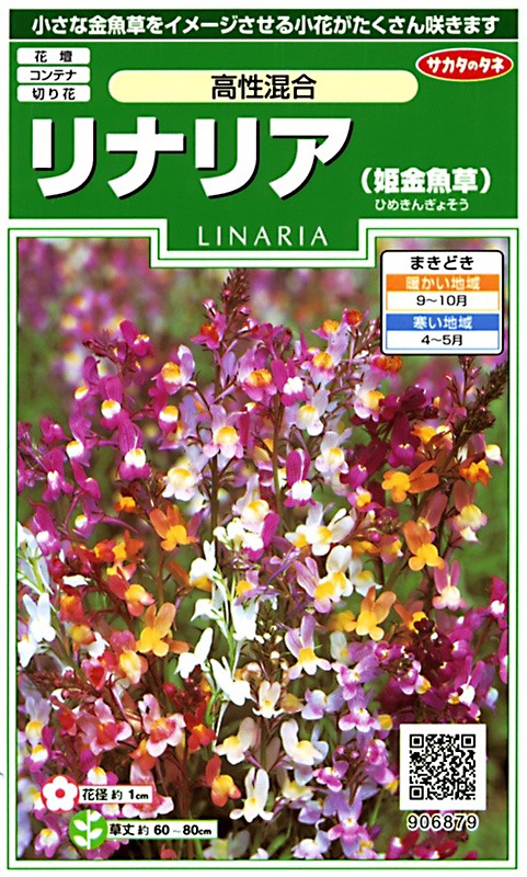 専用　偕楽園　ねずみ　時代香合　幅約7.5㎝　タサコサ　東さ7-0204☆2F 天馬 ○ ホワイトラッシュ 多段分別 WRー3522 ホワイト ゴミ箱 2