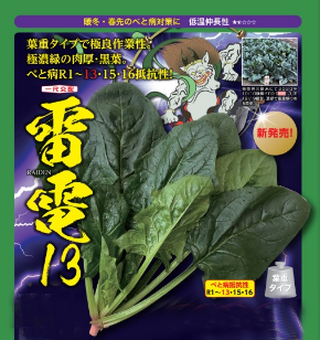 ナント種苗 ホウレンソウ種子 雷電13 PRM3万粒【取り寄せ注文