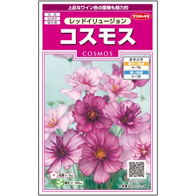 サカタのタネ 実咲350 コスモス レッドイリュージョン 小袋[905178