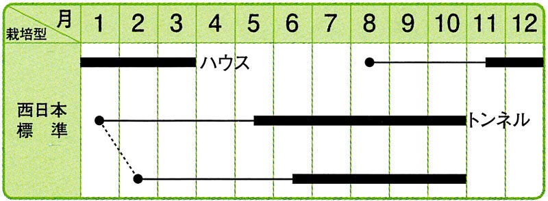 紅唐子出品です。他の方はご遠慮下さい。 楽天市場】【現品販売：32504】椿（ツバキ） 「日光 ジッコウ」別名