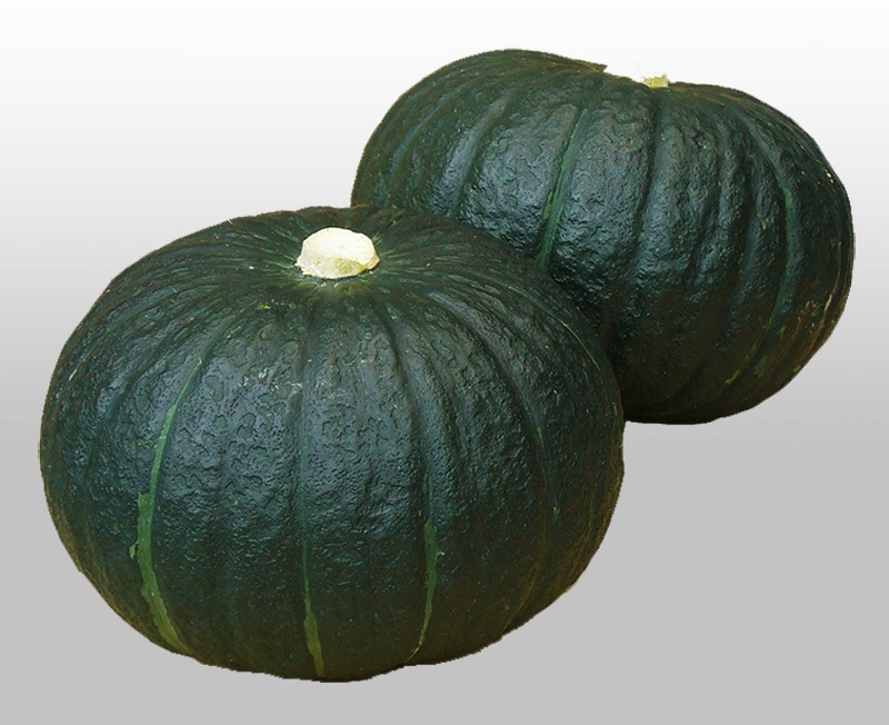 ナント種苗 カボチャ種子 特濃こふき5.6(NS-028)【取り寄せ注文