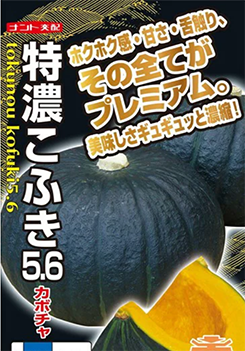 ナント種苗 カボチャ種子 特濃こふき5.6(NS-028)【取り寄せ注文