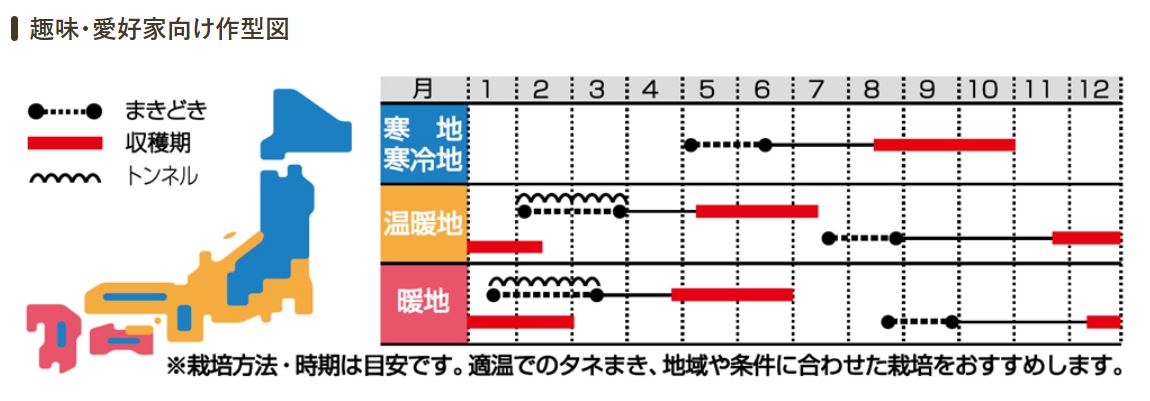 サカタのタネ ニンジン種子 カラフルにんじん 実咲小袋[925631