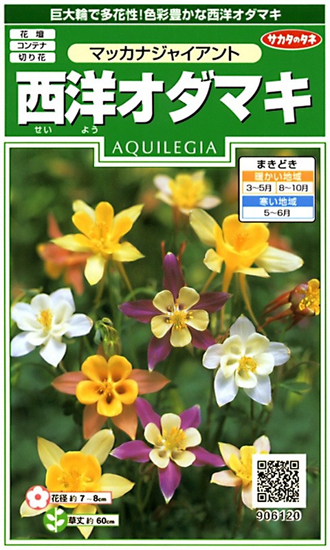 サカタのタネ 実咲250 西洋オダマキ マッカナジャイアント 小袋[906120