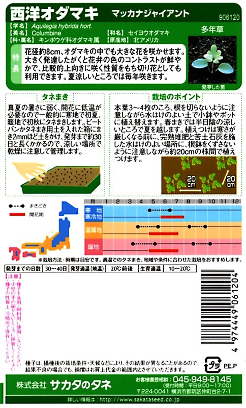 西洋オダマキ ミニミニ苗 こちらで選んで順次発送 西洋オダマキ