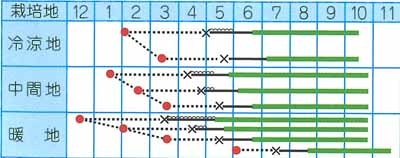 タカヤマシード ナス種子 藤姫長茄子【取り寄せ注文】※発芽率低下の為