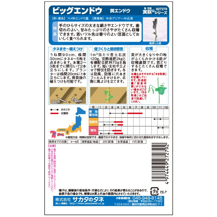 サカタのタネ エンドウ種子 ビッグエンドウ(つるなし) 実咲小袋[927279