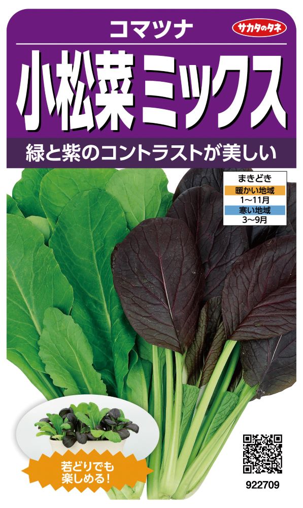 サカタのタネ コマツナ種子 小松菜ミックス【取り寄せ注文】※通年商品 | 小林種苗公式通販