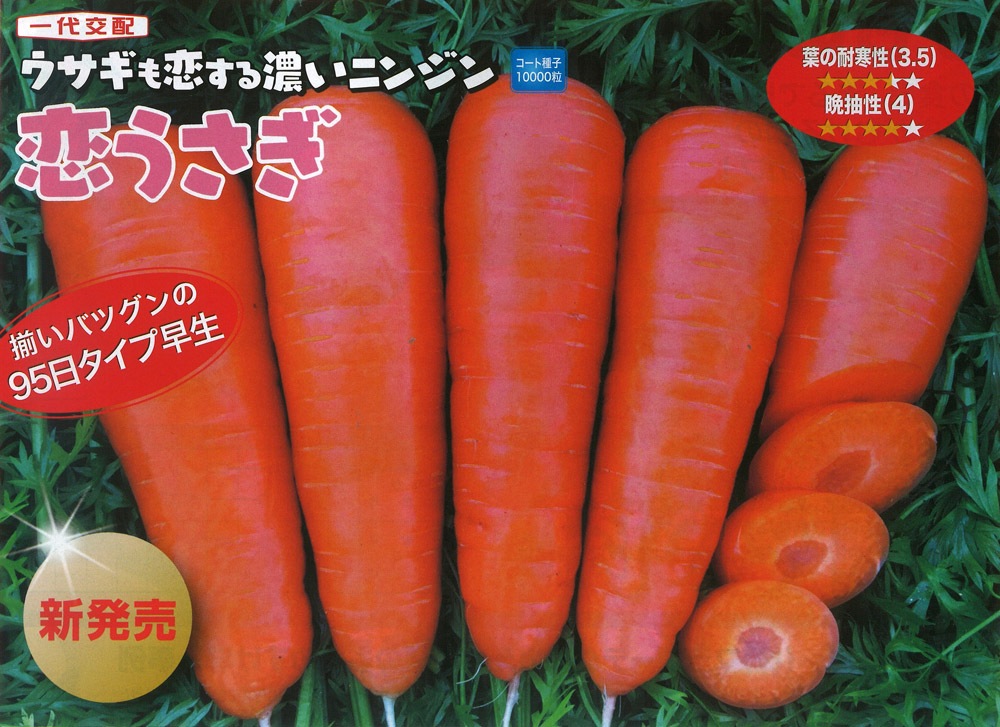 恋うさぎ　人参種 ナント種苗 ニンジン種子 恋うさぎ【取り寄せ注文】＊種子有効
