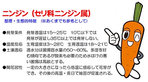 ナント種苗 ニンジン種子 愛うさぎ コート1万粒【取り寄せ注文