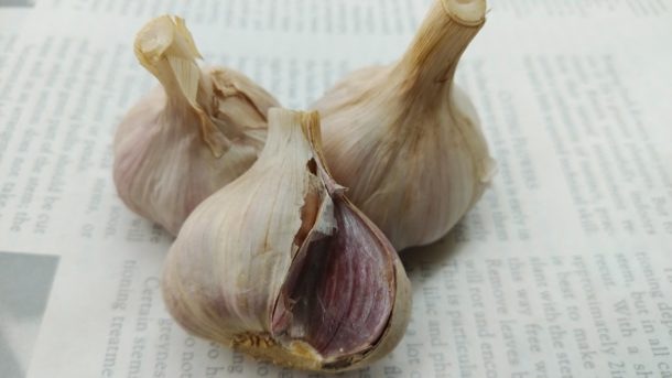 【オスギ様用】】　赤ニンニク　5kg 愛知県産 山陽種苗 元気赤にんにく 健康食品 | メーカー別,山陽種苗,健康