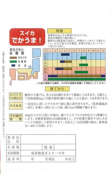 ハドラマウチカ 種子×10 2025/6月採取 ハドラマウチカ 種子×10 2025/6月採取