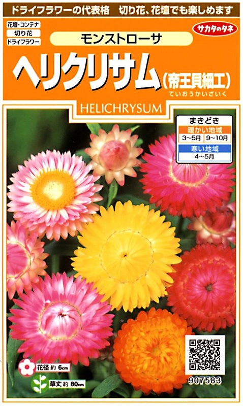 サカタのタネ 実咲200 ヘリクリサム（帝王貝細工）モンストローサ 小袋