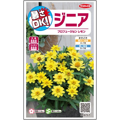サカタのタネ プロフュージョンレモン ジニア種子 Pvp 草花種子 小袋 6月まきの花の種 小林種苗株式会社