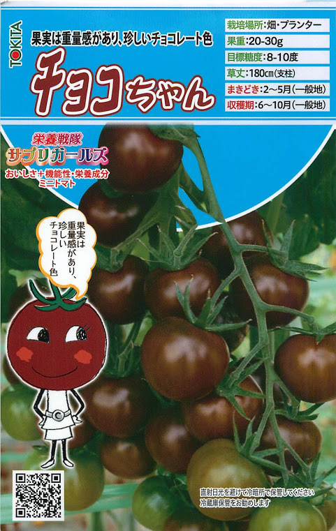 ★ チョコちゃん★ トキタ種苗 ミニトマト種子 サプリガールズ チョコちゃん【取り寄せ