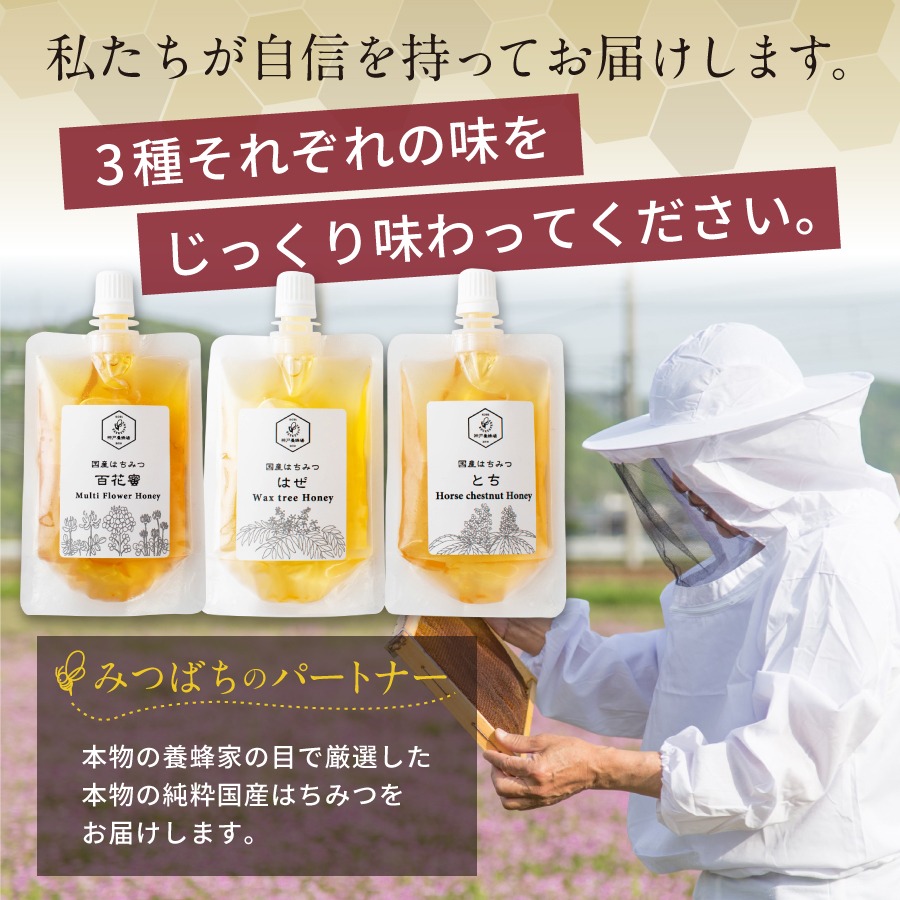 【送料無料】国産純粋蜂蜜エコパック3本セット
