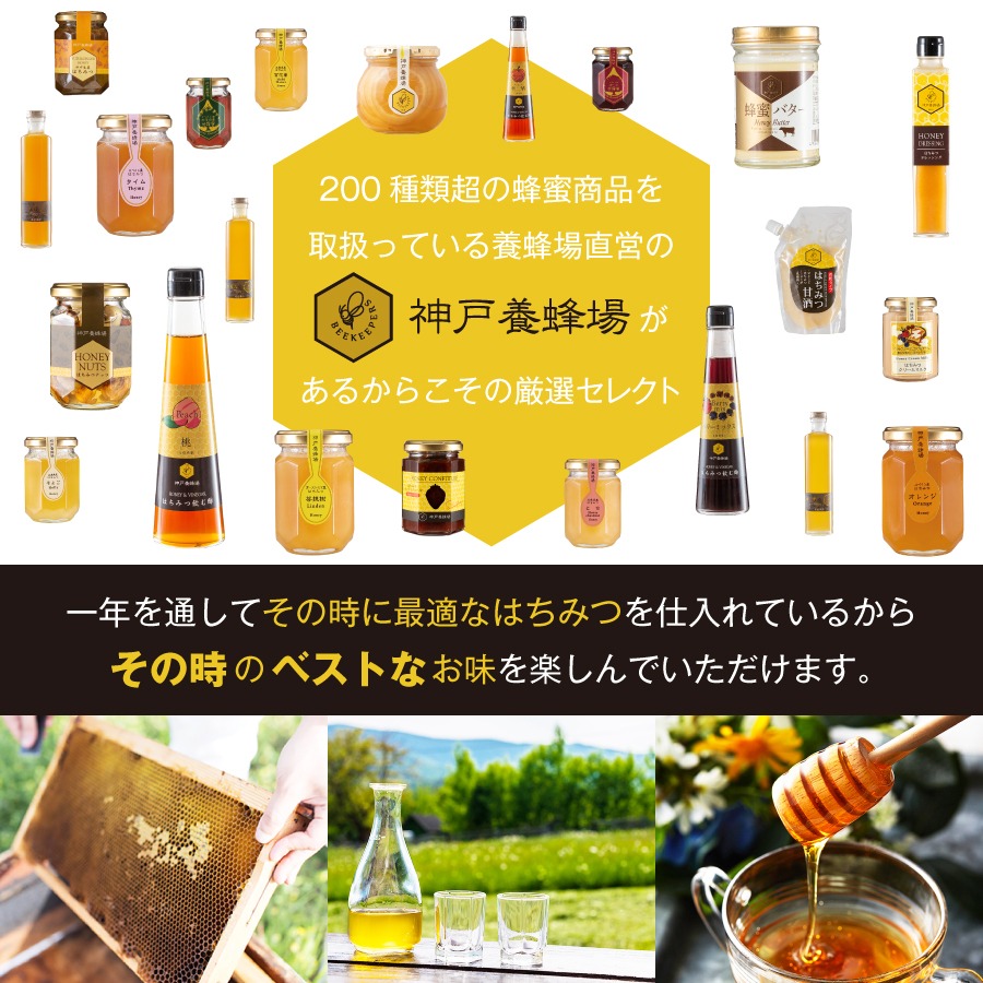 【送料無料】国産純粋蜂蜜エコパック3本セット