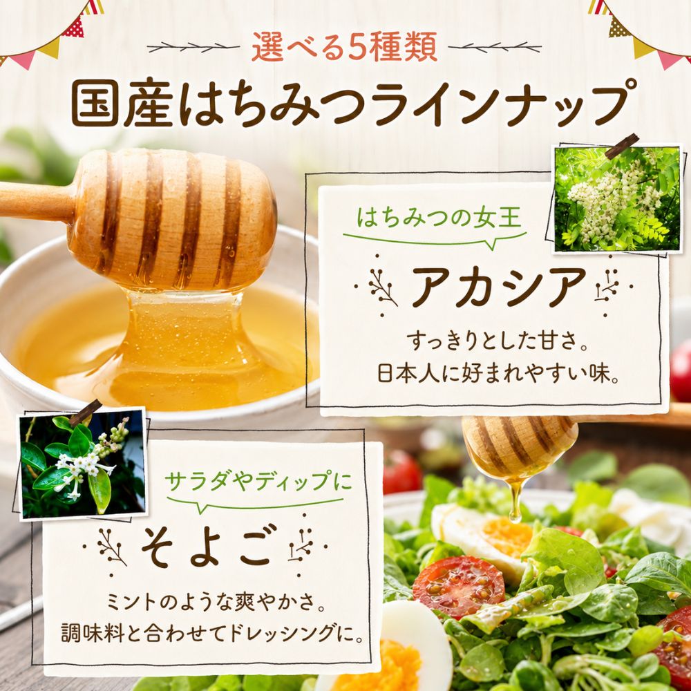 【送料無料】選べる純粋生蜂蜜エコパック5本セット