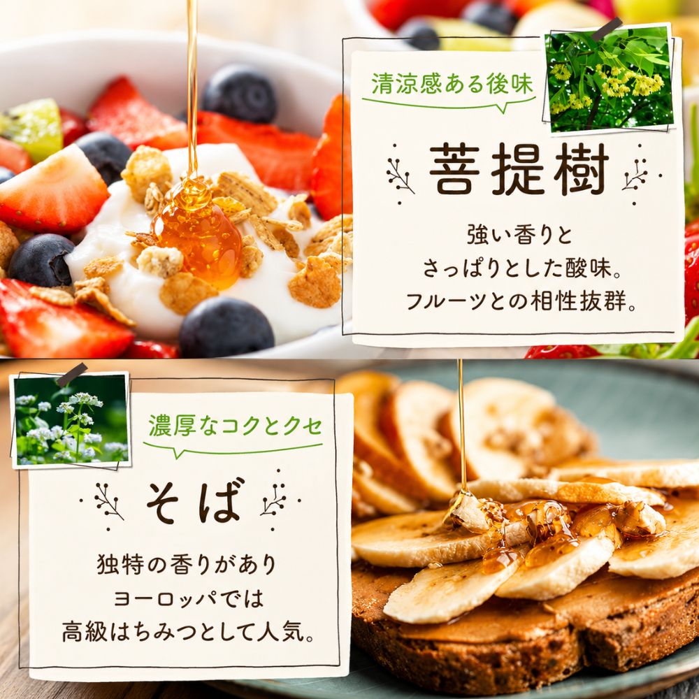 【送料無料】選べる純粋生蜂蜜エコパック5本セット