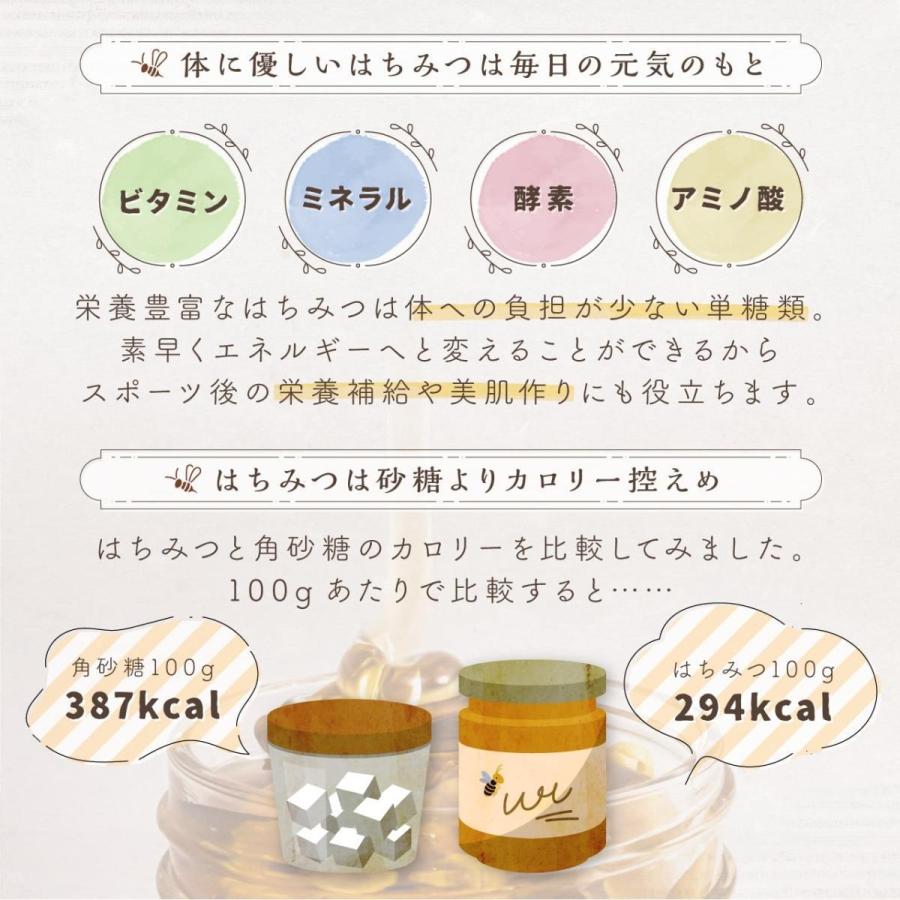 【送料無料】選べる純粋生蜂蜜エコパック5本セット