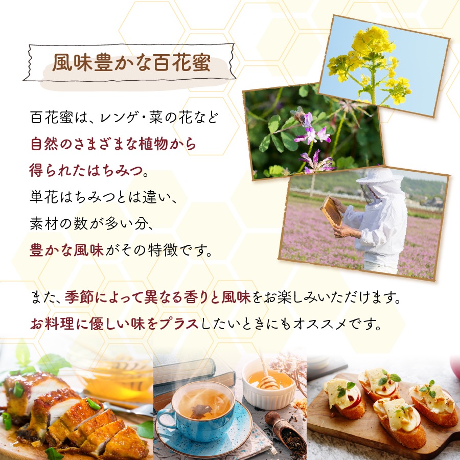 国産純粋蜂蜜エコパック百花蜜450g｜国産はちみつ｜はちみつ通販SHOP