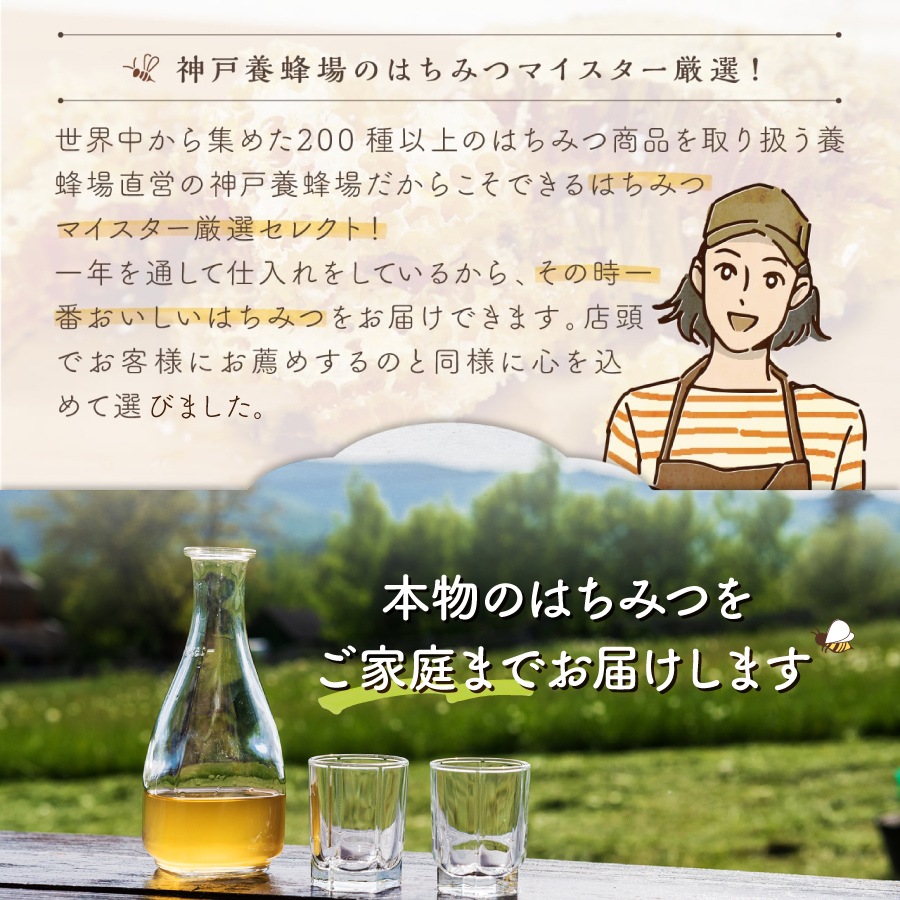 国産純粋蜂蜜エコパック百花蜜450g