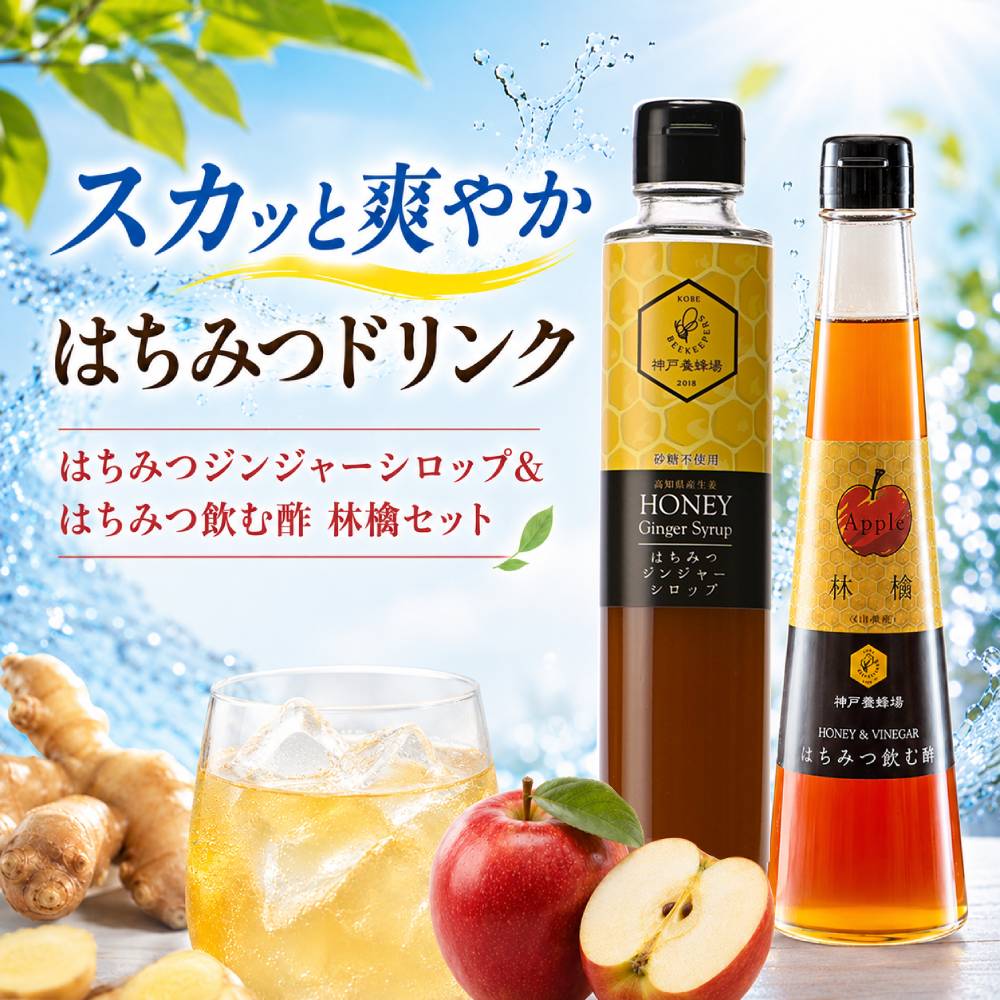 はちみつジンジャーシロップ ＆はちみつ飲む酢(林檎)セット