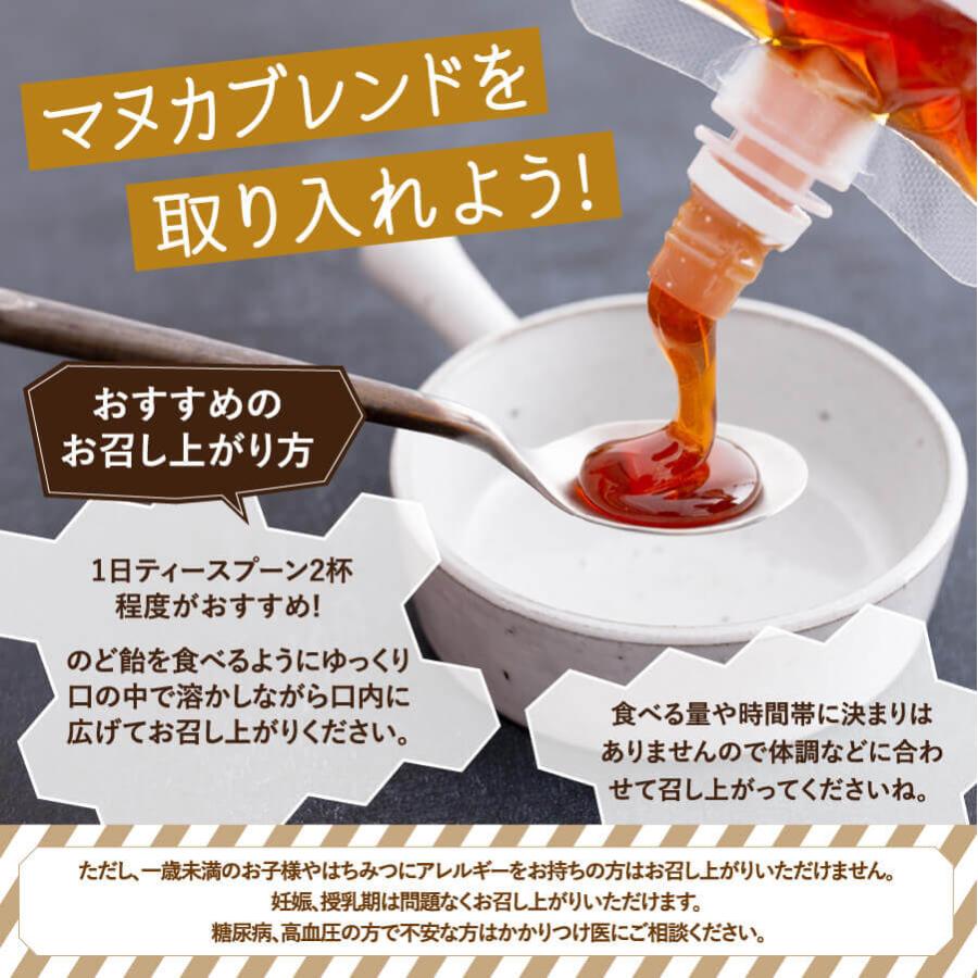 【送料無料】マヌカハニー エコパック3本セット