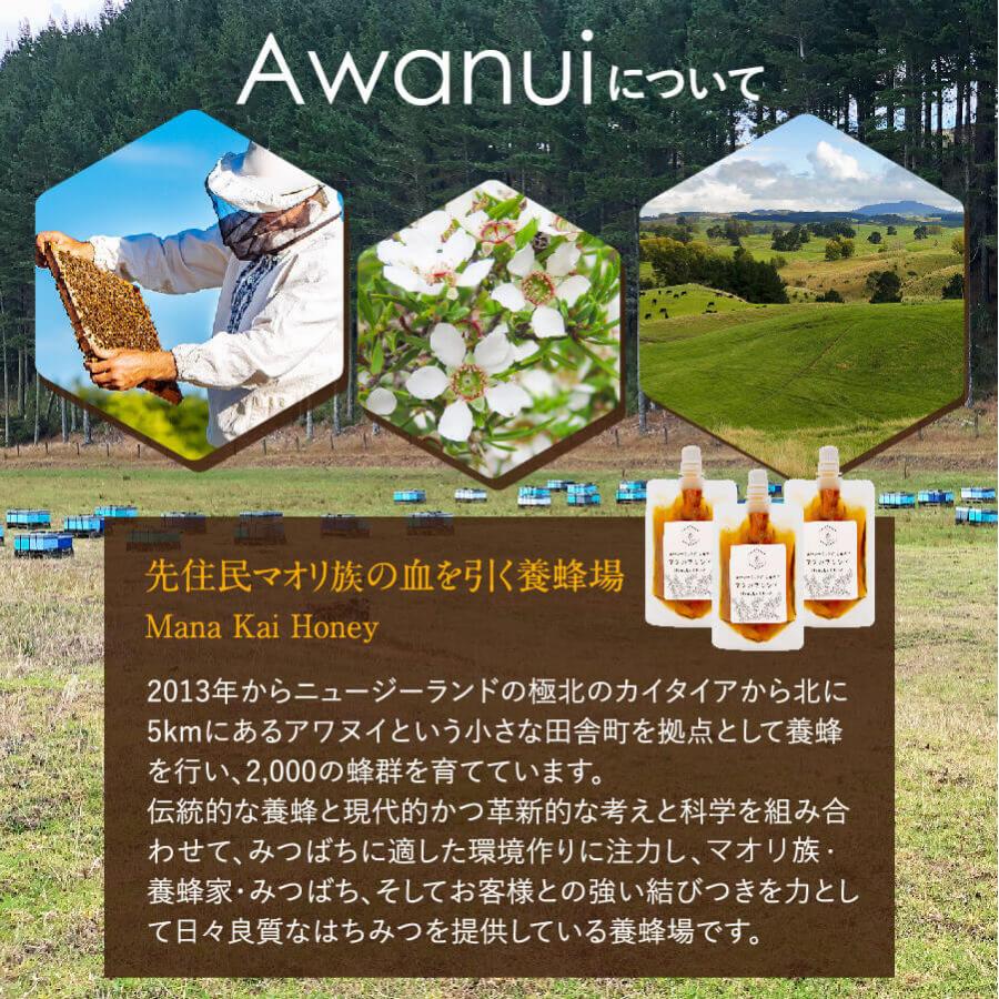 【送料無料】マヌカハニー エコパック3本セット