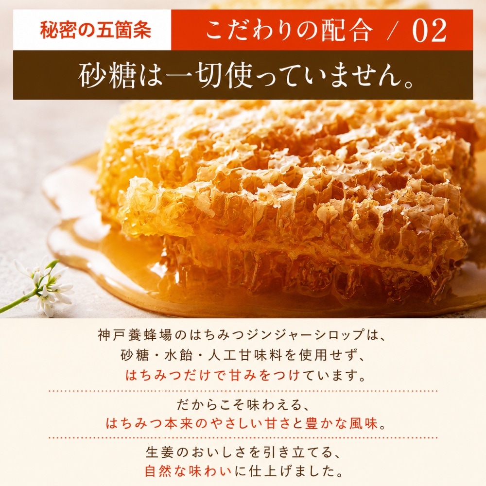 はちみつジンジャーシロップ　240g 3本セット