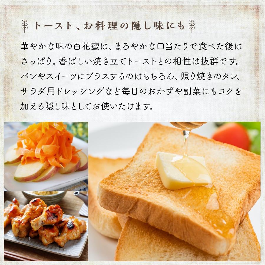 【送料無料】国産百花蜜 エコパック5本セット