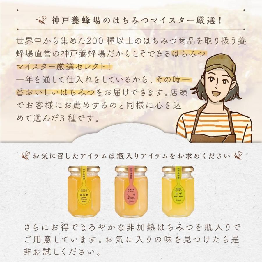 【送料無料】国産百花蜜 エコパック5本セット