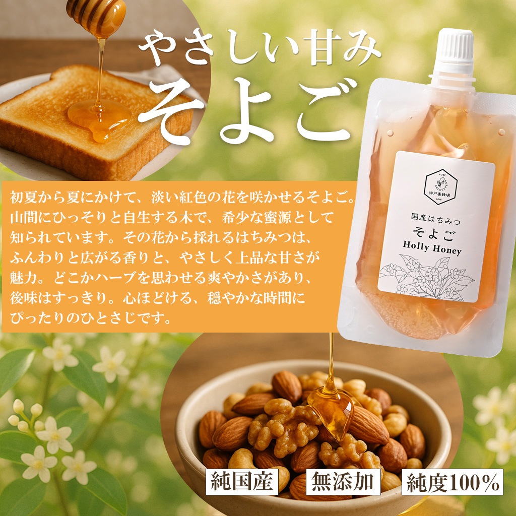【送料無料】国産そよごはちみつ エコパックセット