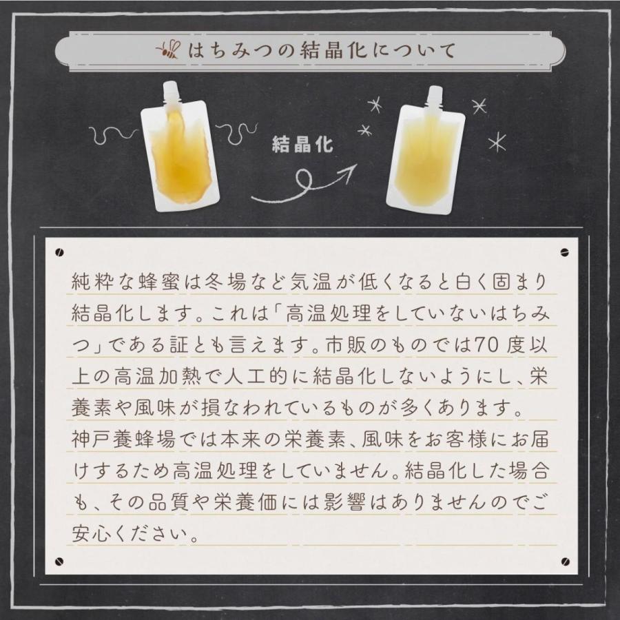 【送料無料】国産そよごはちみつ エコパックセット