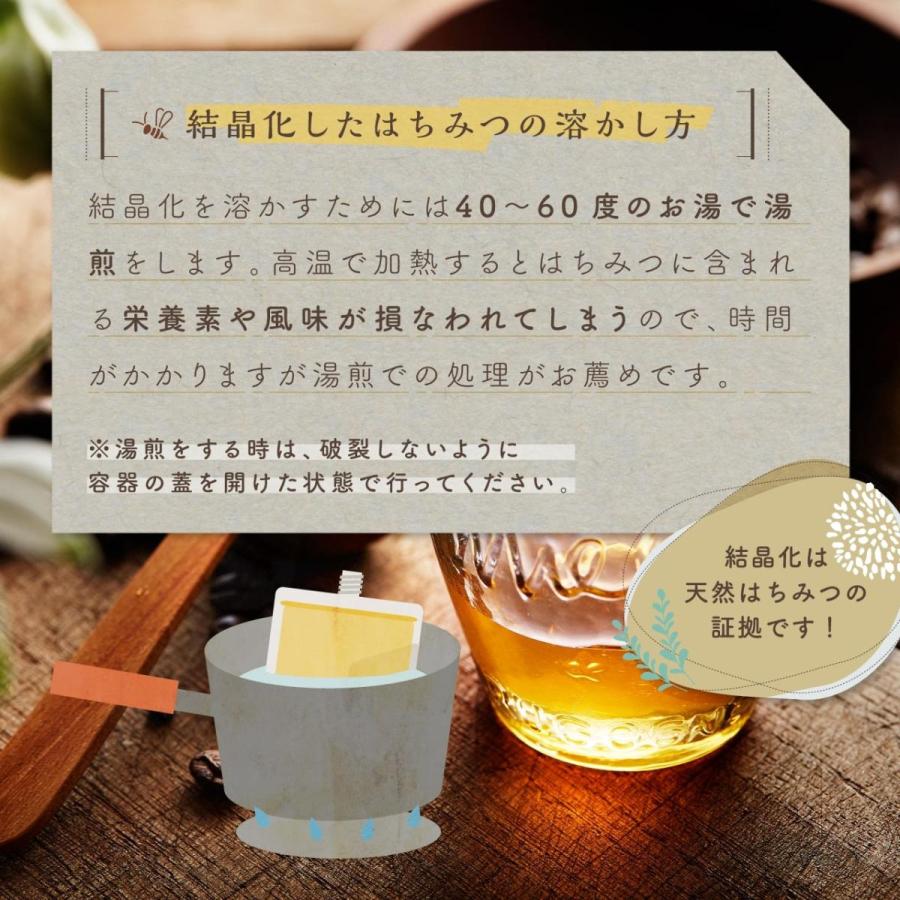 【送料無料】国産そよごはちみつ エコパックセット