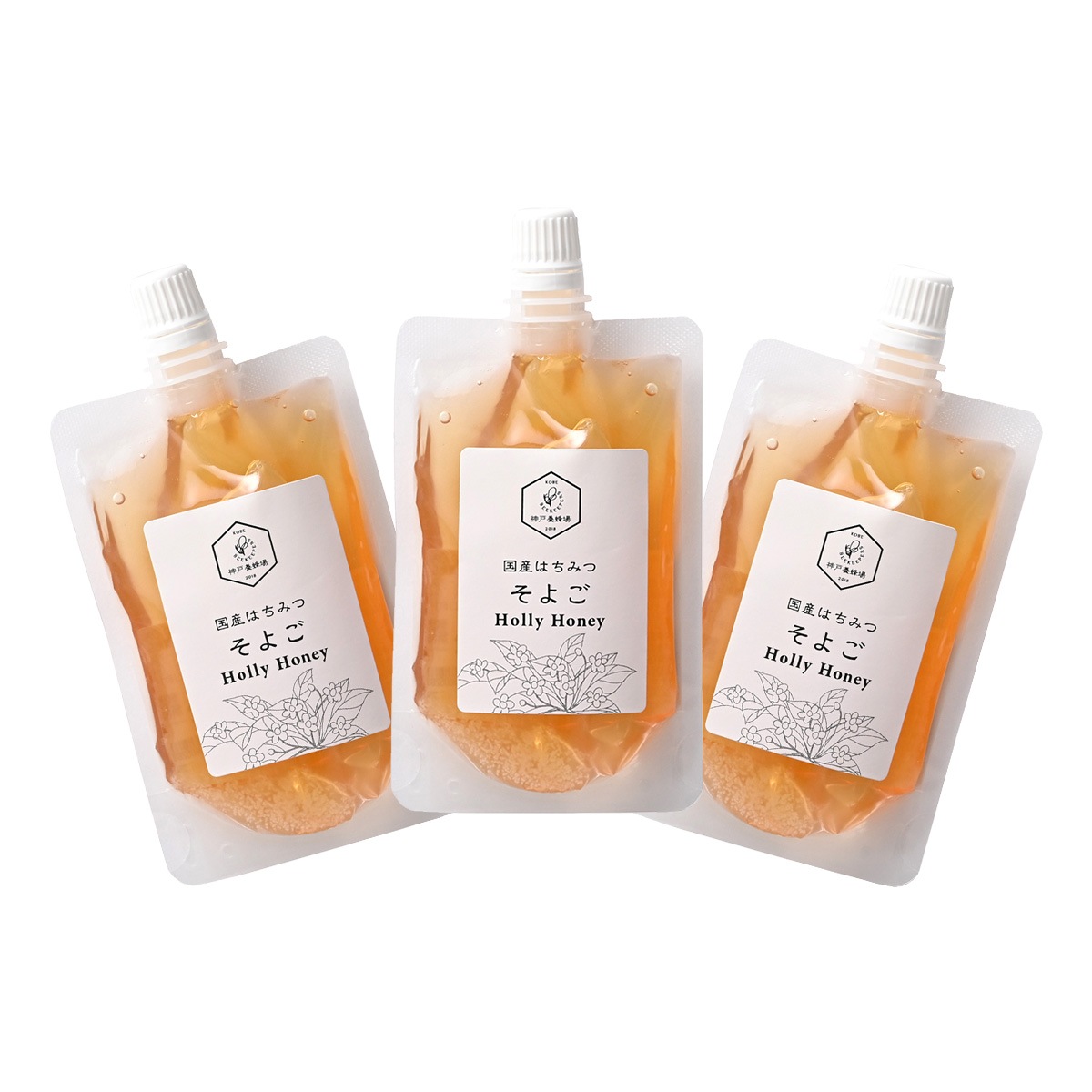 【送料無料】国産そよごはちみつ エコパックセット
